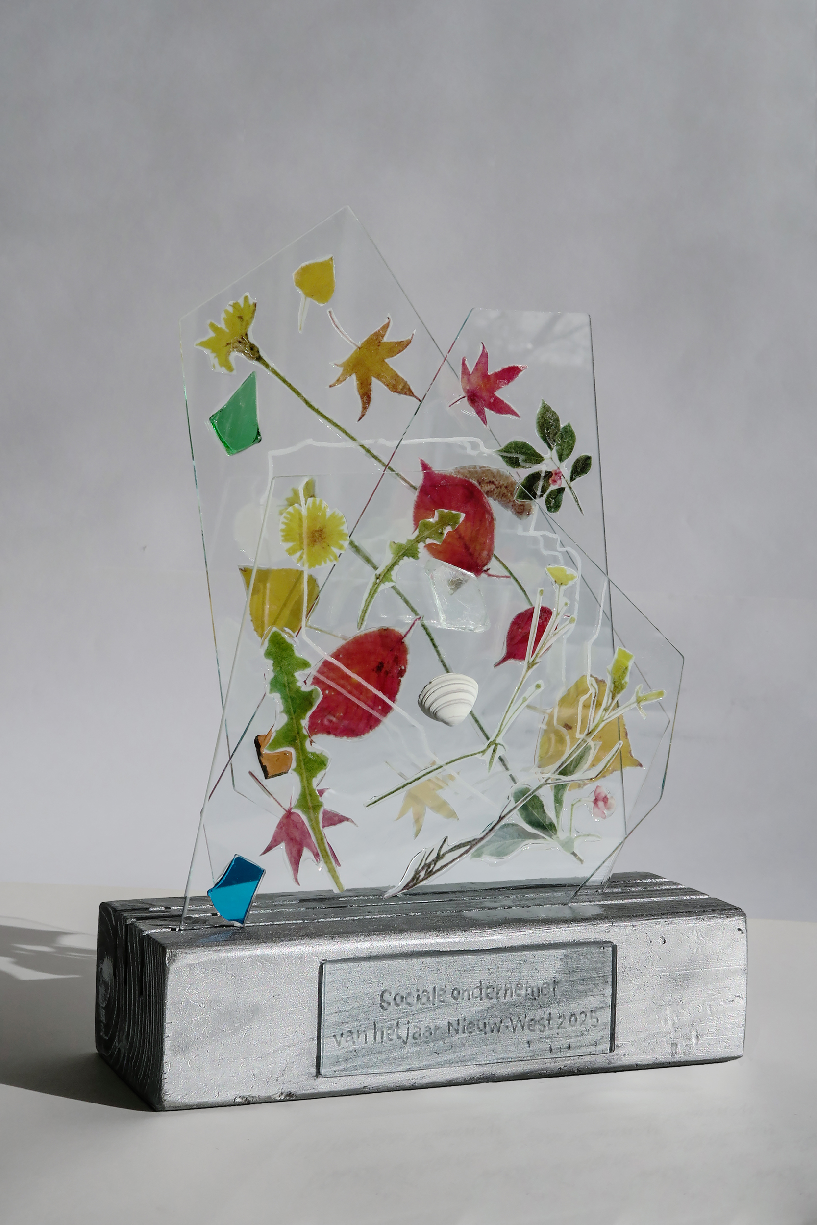 Sociale ondernemer van het jaar 2025